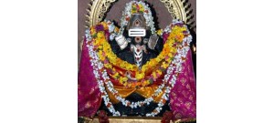 8.பொல்லாப் பிள்ளையார்- தமிழ்நாடு